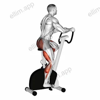Stationary Bike Walk exercise targeting Cardio