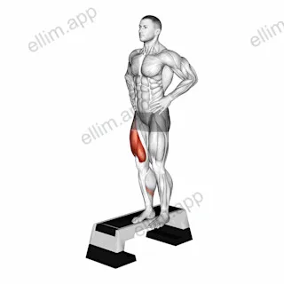 Stepdown Squat exercise targeting Thighs