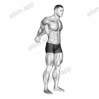 Straight Arms Backward Chest Stretch exercise targeting Chest