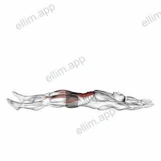 Straight Leg Sit-up exercise targeting Waist and Iliopsoas