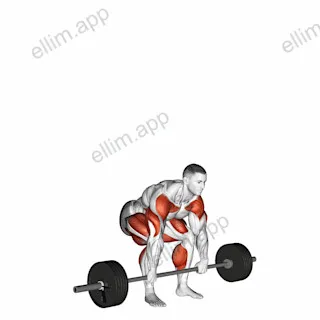 StrongMan Apollons Axle exercise targeting Forearms and Hips