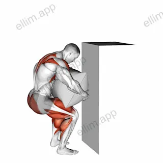 StrongMan Loading exercise targeting Back and Hips