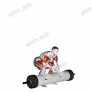 StrongMan Log Lift exercise targeting Weightlifting