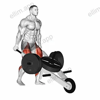 StrongMan Wheelbarrow exercise targeting Thighs