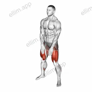 Sumo Squat Floor Touch exercise targeting Hips and Gluteus Maximus