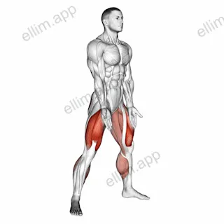 Sumo Squat exercise targeting Thighs and Gluteus Maximus