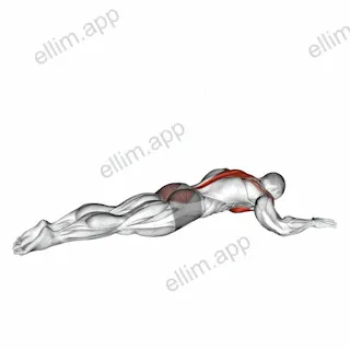 Superman Chest Stretch exercise targeting Hips and Deltoid Anterior