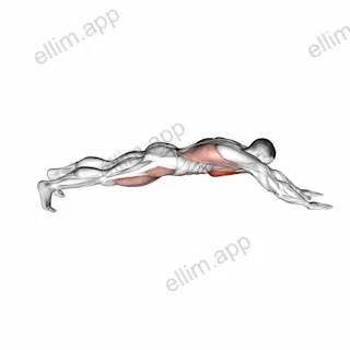Superman Push up exercise targeting Waist