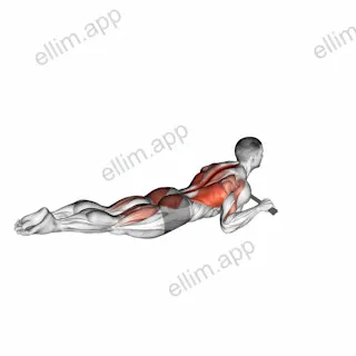 Superman Row with Towel exercise targeting Erector Spinae and Gluteus Maximus