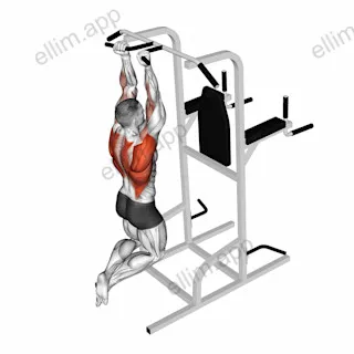 Supinated Narrow Grip Pull-up exercise targeting Back