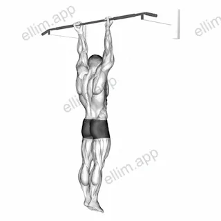 Supination Bar Suspension Stretch exercise targeting Upper Arms