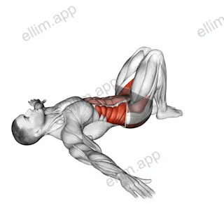 Supine Windshield Wipers exercise targeting Hips