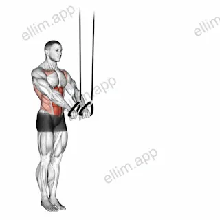 Suspended Abdominal Fallout exercise targeting Waist and Rectus Abdominis