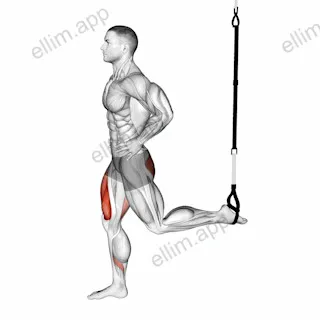 Suspended Split Squat exercise targeting Thighs and Gluteus Maximus