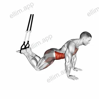 Suspender Front Plank exercise targeting Waist