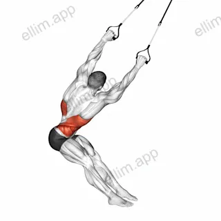 Suspender Lat Stretch exercise targeting Back