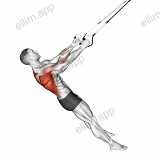 Suspender Row exercise targeting Back