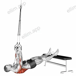 Suspender Weighted Inverted Row exercise targeting Back