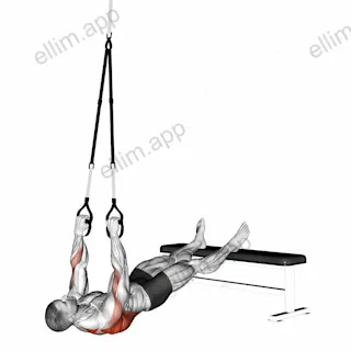 Suspender Wide Grip Inverted Row exercise targeting Back and Infraspinatus