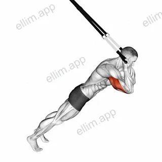 Suspension Triceps Extension exercise targeting Upper Arms