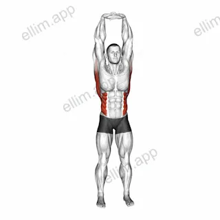 Swaying Palm Tree Yoga Pose exercise targeting Stretching