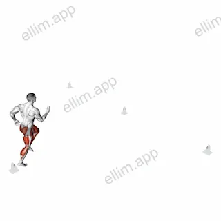 T Drill exercise targeting Plyometrics