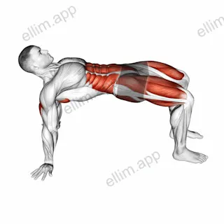 Table Top Bridge Rotation exercise targeting Hips