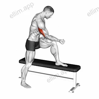 Tiger Tail Tricep exercise targeting Upper Arms