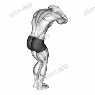Trap and Neck Stretch exercise targeting Back