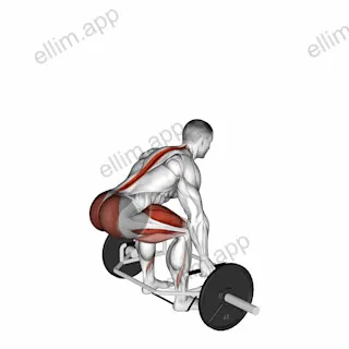Trap bar Banded Deadlift exercise targeting Hips