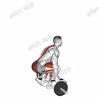 Trap Bar Deadlift exercise targeting Thighs and Gluteus Maximus