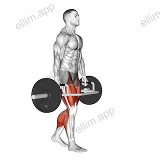 Trap Bar Farmers Carry exercise targeting Thighs