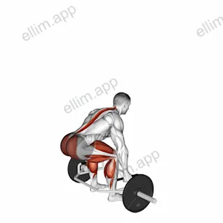 Trap Bar Jump Squat exercise targeting Hips
