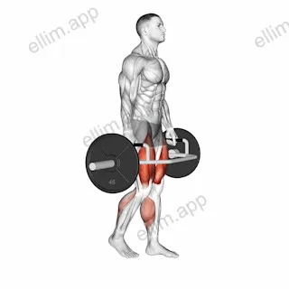 Trap Bar Split Stance RDL exercise targeting Hips and Gluteus Maximus