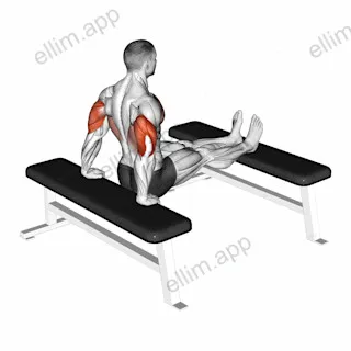 Triceps Dip (bench leg) exercise targeting Upper Arms and Triceps Brachii