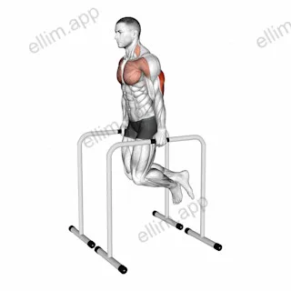 Triceps Dip on High Parallel Bars exercise targeting Upper Arms
