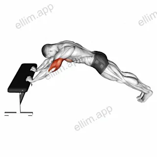 Triceps Press (Head Below Bench) exercise targeting Upper Arms and Triceps Brachii