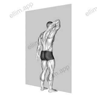 Triceps Stretch Against Wall exercise targeting Upper Arms