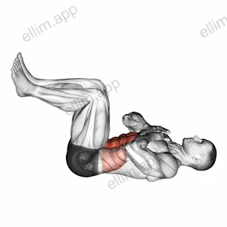 Tuck Crunch exercise targeting Waist and Rectus Abdominis