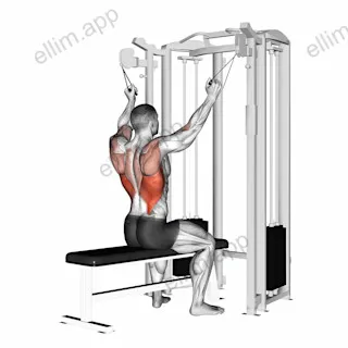 twin handle parallel grip lat pulldown exercise targeting Back