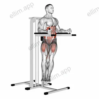 Twisted Leg Raise exercise targeting Waist