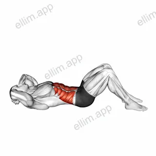 Twisting Crunch exercise targeting Waist and Obliques