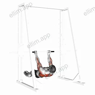 Underhand Grip Inverted Back Row exercise targeting Back