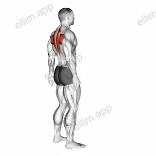 Upper Back Stretch exercise targeting Back and Infraspinatus
