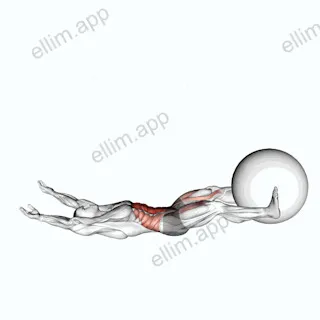 V-Up Down (with Stability ball) exercise targeting Waist
