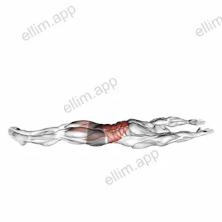 V-up Hold exercise targeting Waist