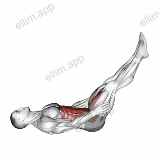V-up with Clap exercise targeting Waist and Rectus Abdominis