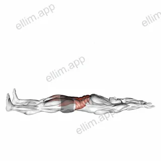 V-up exercise targeting Iliopsoas and Rectus Abdominis