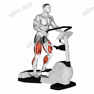 Walk Wave Machine exercise targeting Thighs and Adductor Magnus
