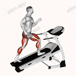 Walking on Incline Treadmill exercise targeting Cardio